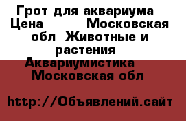 Грот для аквариума › Цена ­ 500 - Московская обл. Животные и растения » Аквариумистика   . Московская обл.